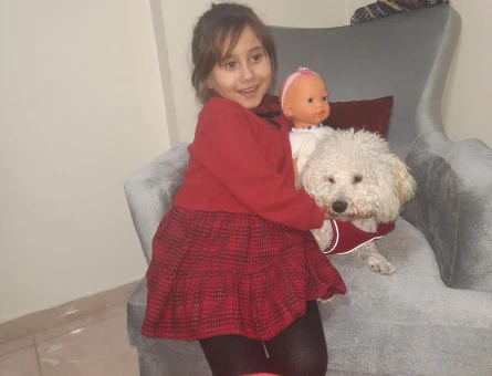 Bichon Frise Kızıma Eş Arıyorum - 118969719