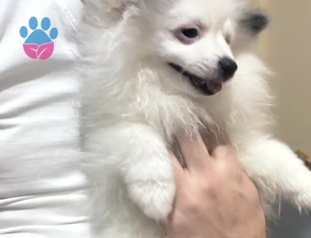 Oğlum Müdür e eş bakıyorum