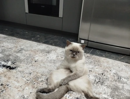 Kızıma eş 😍 - 118972567