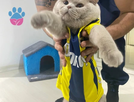 Yakışıklı Oğlumuz için gelin arıyoruz