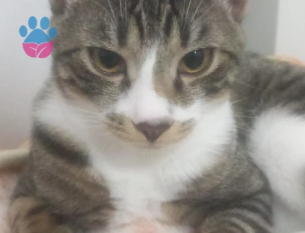 Oğluma eş arıyorum