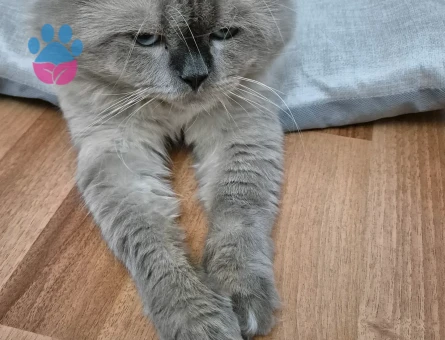 Eş bulma