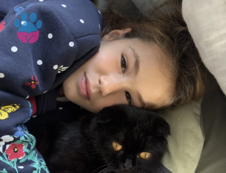 Scottish Fold 1 Yaşında Eş Arıyor