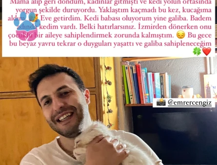 Erkek İran Kedimiz Kurti Bey Dişisini Arıyor
