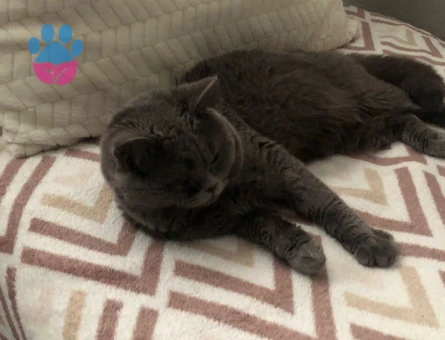 Oğluma eş arıyorum