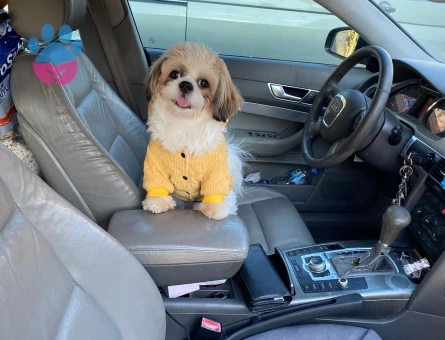 OĞLUMA BİR EŞ ARIYORUM