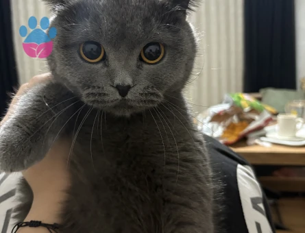 Kızıma eş arıyorum