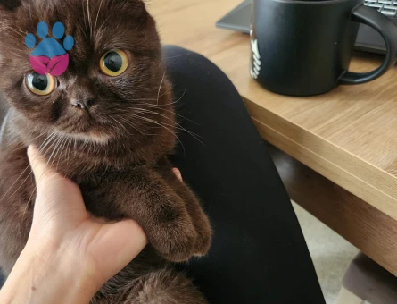 Jager Kızıma Eş Arıyorum