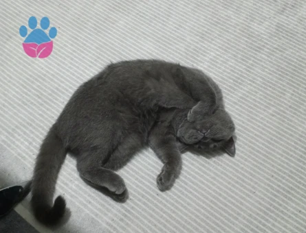 Tatlı kızımıza es arıyoruz