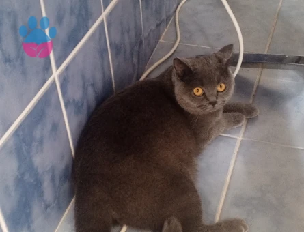 Tatlı kızımıza es arıyoruz