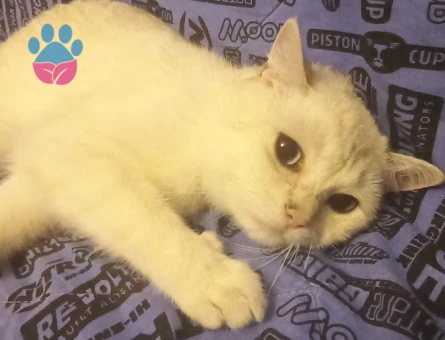 Eş arıyoruz caspera