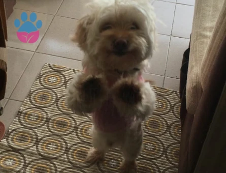 Oğlumuzun devamını istiyoruz