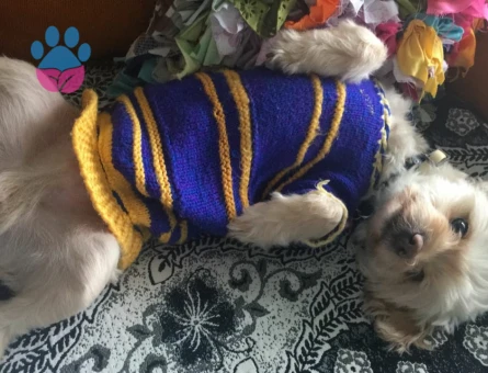 Oğlumuzun devamını istiyoruz