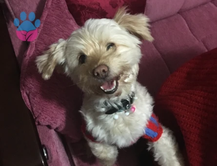 Oğlumuzun devamını istiyoruz