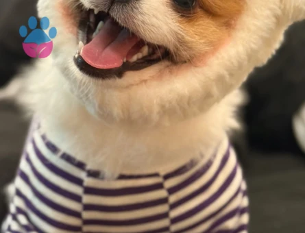 TEACUP BEBEĞİME 0-1 NUMARA EŞ ARIYORUM