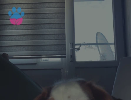 Ted 2 yaşında cok oyuncu benim yakışıklı oğlum ve cok heyecanlı