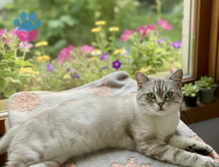 Oğlumuza eş arıyoruz