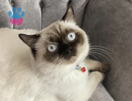 Oğluma eş arıyoruz☺️