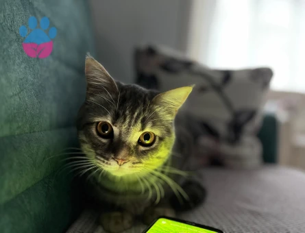 Torun sahibi olmak istiyorum😊