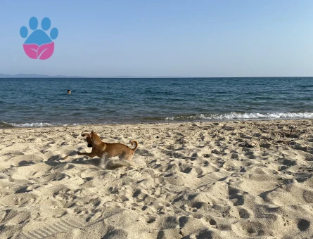 Kızıma eş arıyorum