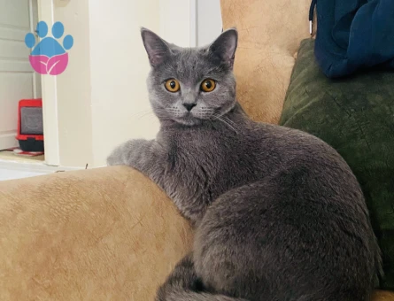 KIZIMIZA EŞ ARIYORUZ