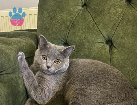 KIZIMIZA EŞ ARIYORUZ