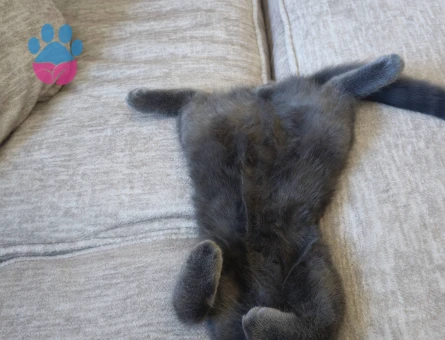 1 yaşında çok uysal