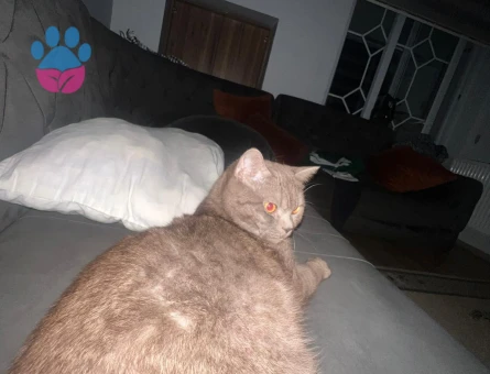 patlamaya yakın bomba