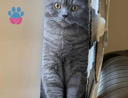 patlamaya yakın bomba