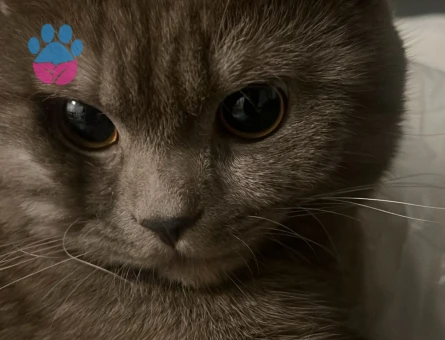 patlamaya yakın bomba