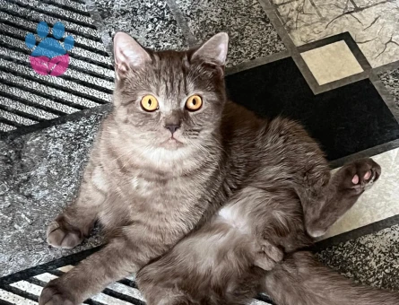 patlamaya yakın bomba