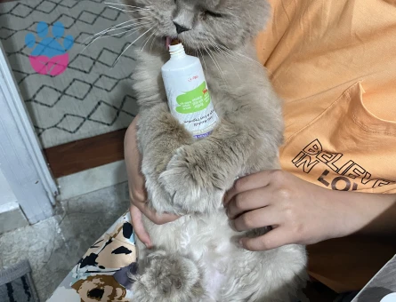 oğlum için eş arıyoruz