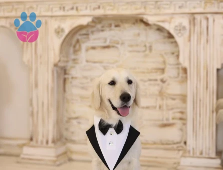 Boncuk İçin Eş Arıyoruz