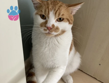 Oğlumuza eş arıyoruz