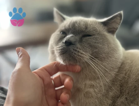 Oğlumuza eş arıyoruz