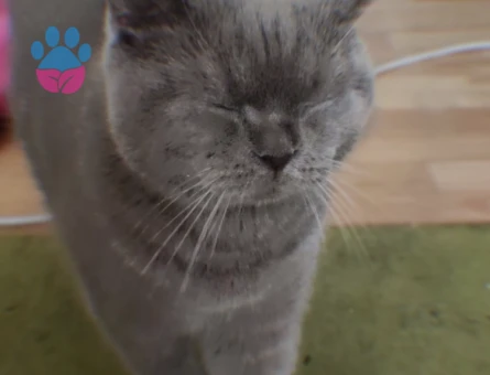 Oglumun yanına yakışacak bir hanımefendi arıyoruz