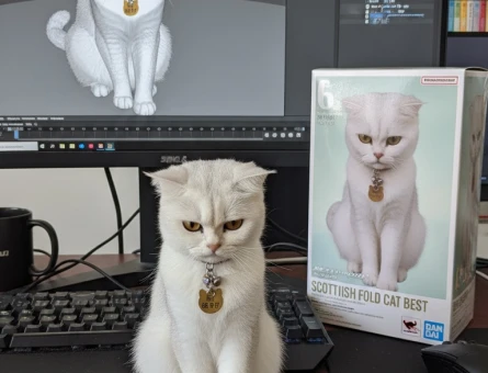 British Shorthair Kedimiz dünya Eş arıyoruz - 118981195