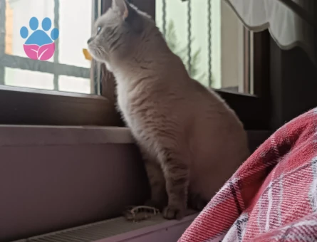 Oğluma eş arıyorum