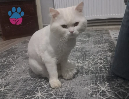 Erkek kendime eş arıyorum