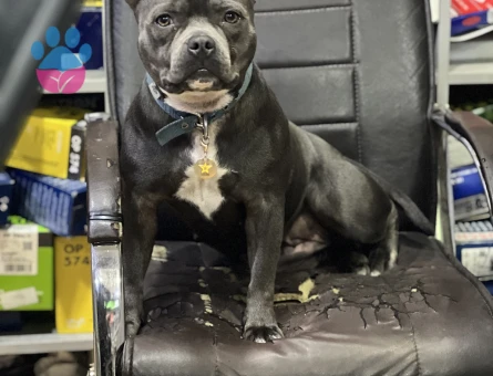 20 aylık kızım eş arıyorum