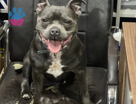 20 aylık kızım eş arıyorum