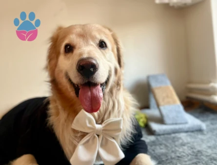 Oğlumuza eş arıyoruz