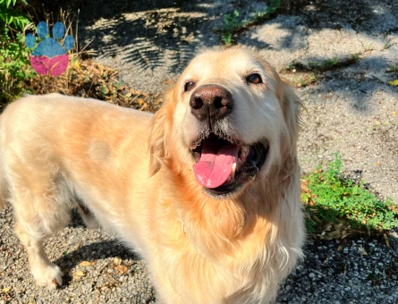 Oğlumuza eş arıyoruz