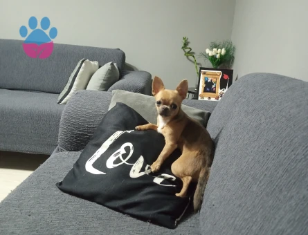 Kızımıza eş arıyoruz