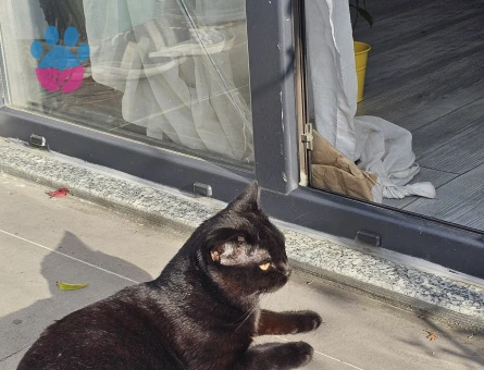 Oğlumuza Kız Arıyoruz