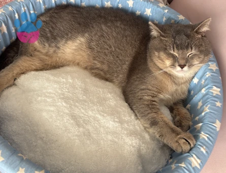 OĞLUMUZA EŞ ARIYORUZ