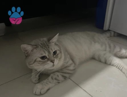 11 aylık bulutumuza eş arıyoruz