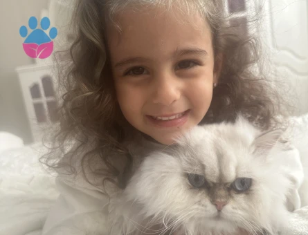 Acil Dişi Çiftleştirmek İçin Aranıyor