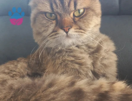 Oğlumuza eş arıyoruz