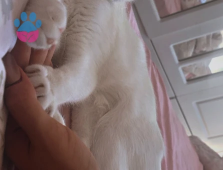 Temas bağımlısı kızıma eş arıyorum